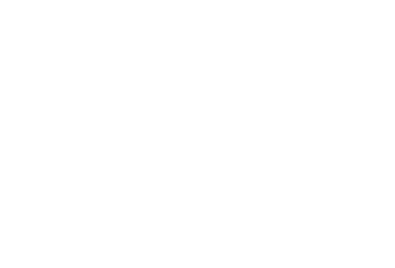 Webcore logo